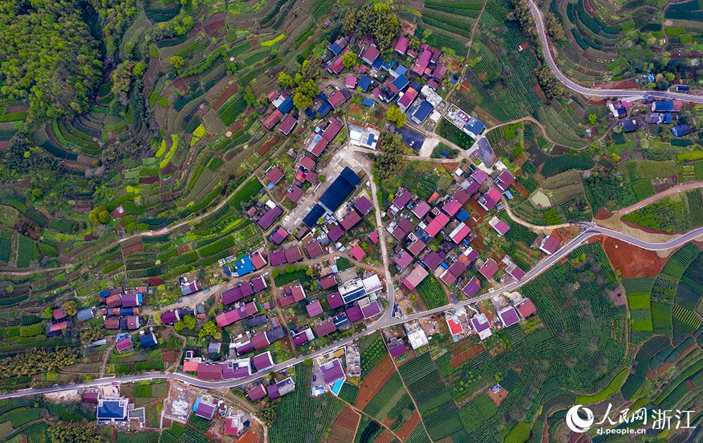 4月1日，紹興市新昌縣東茗鄉(xiāng)下巖貝村風(fēng)光秀麗，茶園旖旎。人民網(wǎng) 章勇濤攝