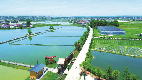 近年來，大成橋鎮(zhèn)堅持加強黨對鄉(xiāng)村治理的集中統(tǒng)一領(lǐng)導(dǎo)，該鎮(zhèn)鄉(xiāng)村治理模式入選第二批全國鄉(xiāng)村治理典型案例。圖為美麗的大成橋鎮(zhèn)。（資料圖片）