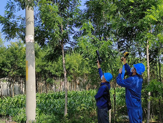 工作人員進行紅外測溫及超聲波局部放電檢測。 王亮攝
