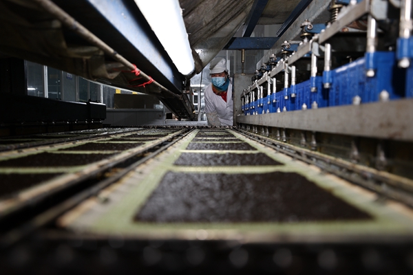 柘汪紫菜產(chǎn)業(yè)園內(nèi)入駐企業(yè)的紫菜生產(chǎn)線。贛榆區(qū)委宣傳部供圖