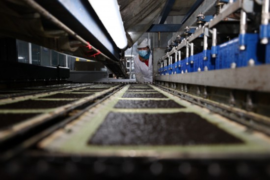 柘汪紫菜產(chǎn)業(yè)園內(nèi)入駐企業(yè)的紫菜生產(chǎn)線。贛榆區(qū)委宣傳部供圖