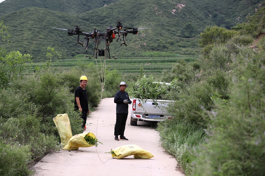 在石家莊市井陘縣吳家窯鄉(xiāng)長峪村荒山造林現(xiàn)場，一名無人機手操控無人機運輸樹苗。王保龍攝
