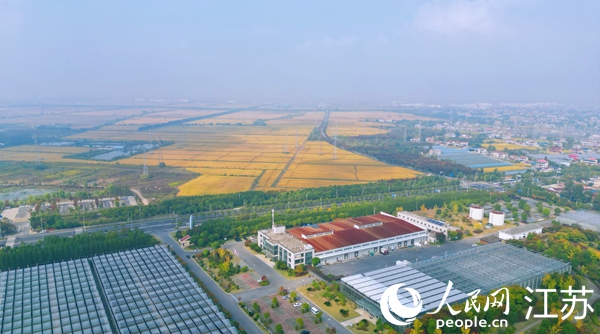 位于幸福街道的“萬頃良田”。人民網(wǎng)記者 王繼亮攝