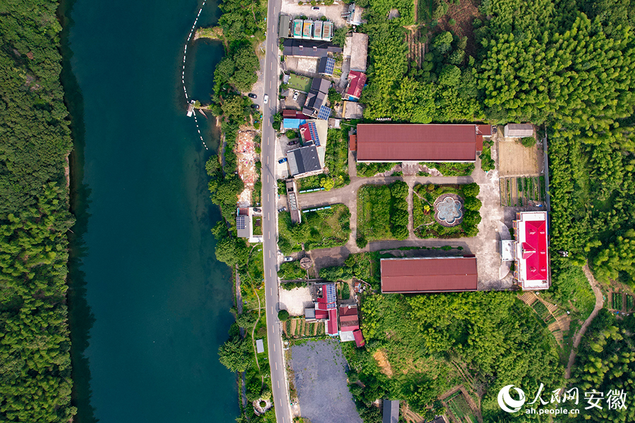 儲家灘民宿區(qū)。人民網(wǎng)記者 苗子健攝