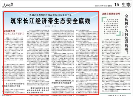 人民日報。截圖