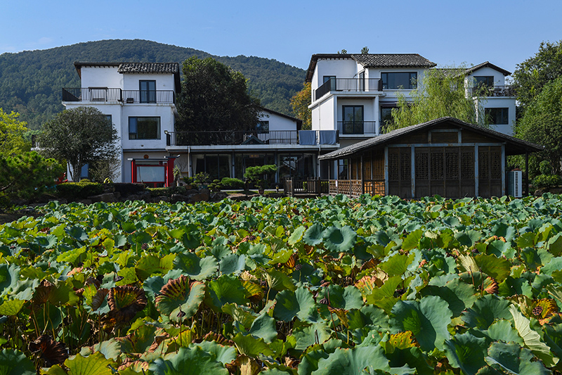 雨悅山房負(fù)責(zé)人原來在馬達(dá)加斯加打理酒店，之所以“從馬達(dá)加斯加到肥東”，源于對家鄉(xiāng)民宿前景看好。吳芳攝
