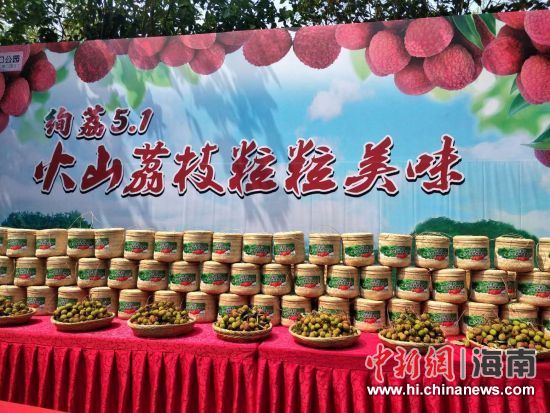 圖為活動現(xiàn)場。蘇桂除 攝