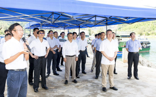 2019年6月21日上午，省長沈曉明率省政府班子成員在三亞鐵爐港調研項目規(guī)劃建設情況。海南日報記者 宋國強 攝