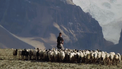 你看了嗎？藏語版《日光之城》“含金量”還在上升！