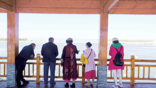 湟魚洄游奇觀吸引游人。