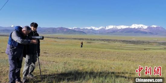 圖為工作人員正在進行黑頸鶴衛(wèi)星跟蹤和環(huán)志工作?！∑钸B山國家公園青海省管理局供圖 攝