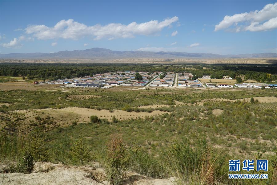 （決戰(zhàn)決勝脫貧攻堅(jiān)·圖文互動(dòng)）（2）高原鄉(xiāng)鎮(zhèn)沙珠玉 治沙斗貧成“綠?！薄嗪Ｊ」埠涂h沙珠玉鄉(xiāng)采訪見聞