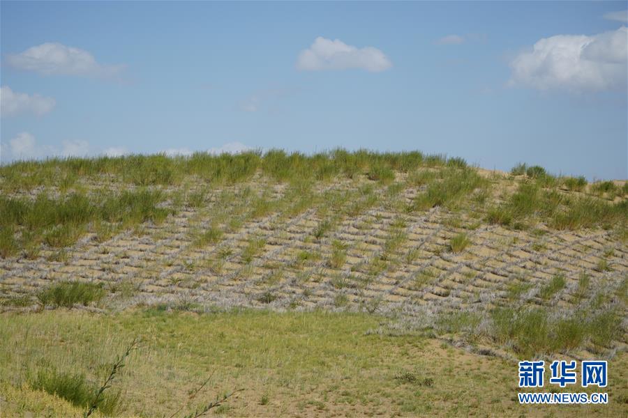 （決戰(zhàn)決勝脫貧攻堅(jiān)·圖文互動(dòng)）（3）高原鄉(xiāng)鎮(zhèn)沙珠玉 治沙斗貧成“綠?！薄嗪Ｊ」埠涂h沙珠玉鄉(xiāng)采訪見聞