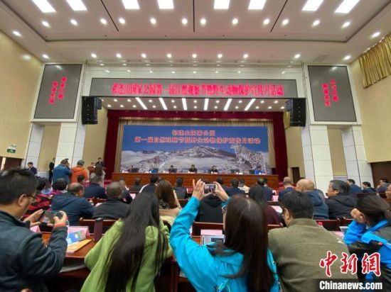 圖為祁連山國(guó)家公園第一屆自然觀察節(jié)開(kāi)幕式現(xiàn)場(chǎng)?！±罱瓕帯z 　　