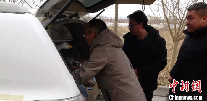 圖為民警救助國家二級(jí)保護(hù)動(dòng)物——大天鵝。青海省公安廳森林警察總隊(duì)供圖