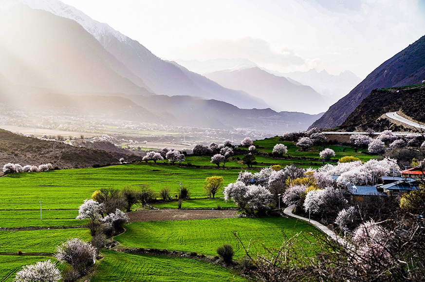 西藏林芝市波密縣傾多鎮(zhèn)八朵卡的田園風光（攝于4月5日）。新華網(wǎng) 達娃攝.jpg