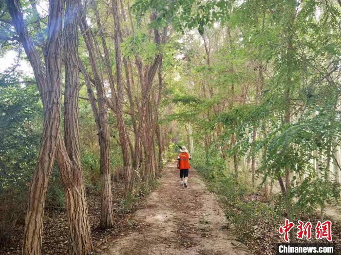 戈壁灘上的護(hù)林員：以前風(fēng)吹睜不開(kāi)眼，現(xiàn)在滿眼皆綠色