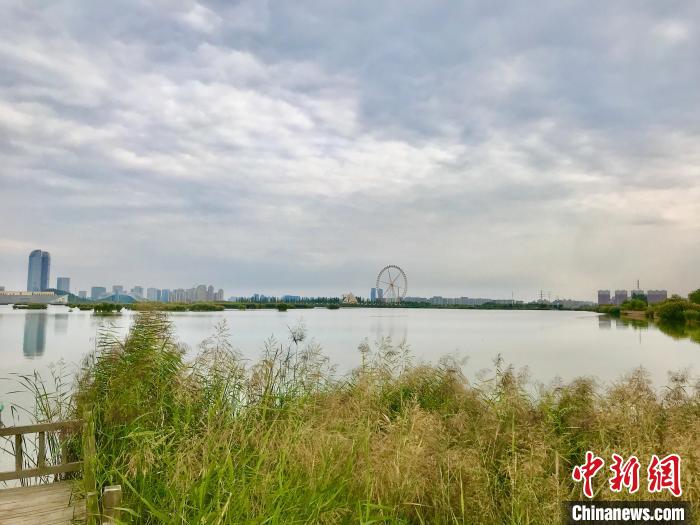 讓塞上江南變得更美:寧夏持續(xù)推進黃河流域生態(tài)保護科技創(chuàng)新