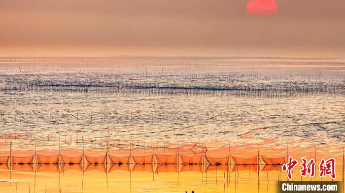 江蘇鹽城被譽(yù)為金灘銀蕩、魚米之鄉(xiāng)?！←}城市委宣傳部供圖