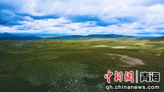 圖為長江南源沼澤濕地。李江寧攝