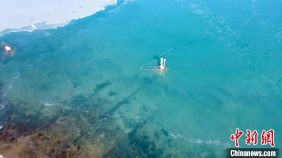 圖為冬日青海湖?！±罱瓕帯z