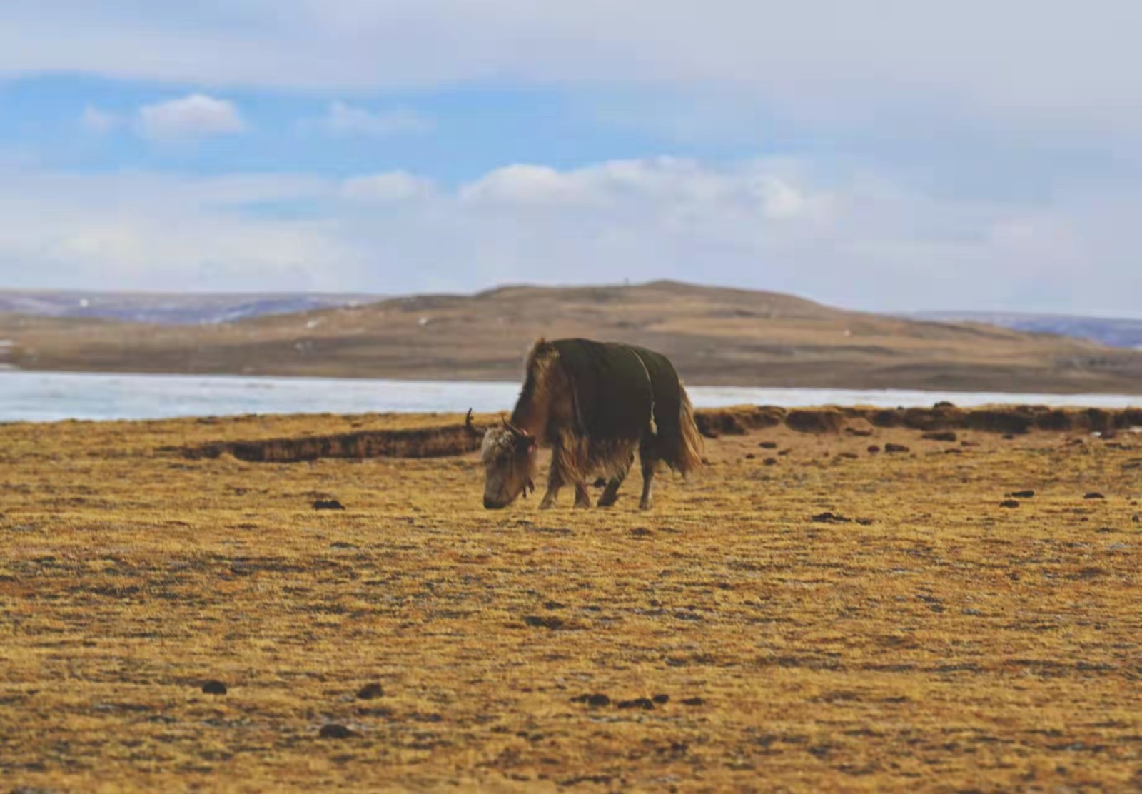 微信圖片_20220309104224.jpg 微信圖片_20220309104224.jpg