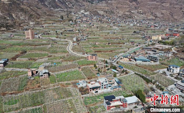 潔白的李花與村寨交相輝映，勾勒出一幅美麗的和諧生態(tài)畫卷?！『吻搴?攝