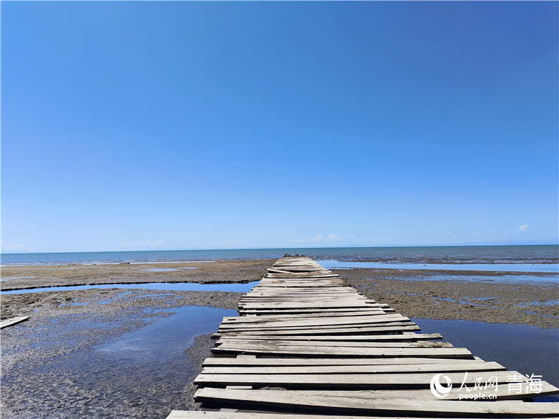   青海湖仙女灣。人民網(wǎng) 張莉萍攝