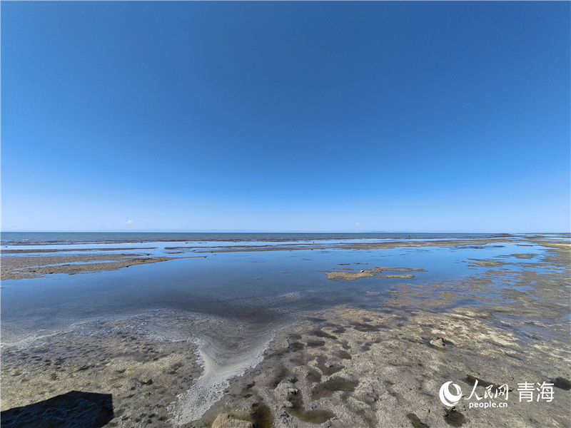   青海湖仙女灣。人民網(wǎng) 張莉萍攝