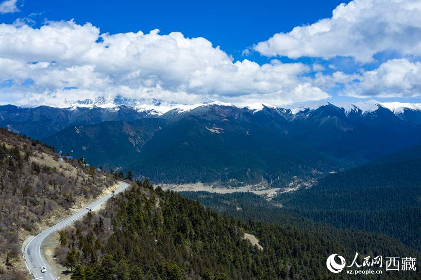 圖為在海拔4700多米的色季拉山，觀測(cè)從森林到草甸的多種植被類型。