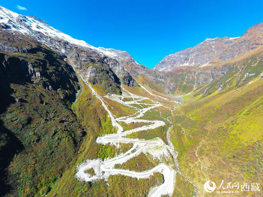 圖為西藏林芝市墨脫縣境內(nèi)，植被隨山體升高而變化。