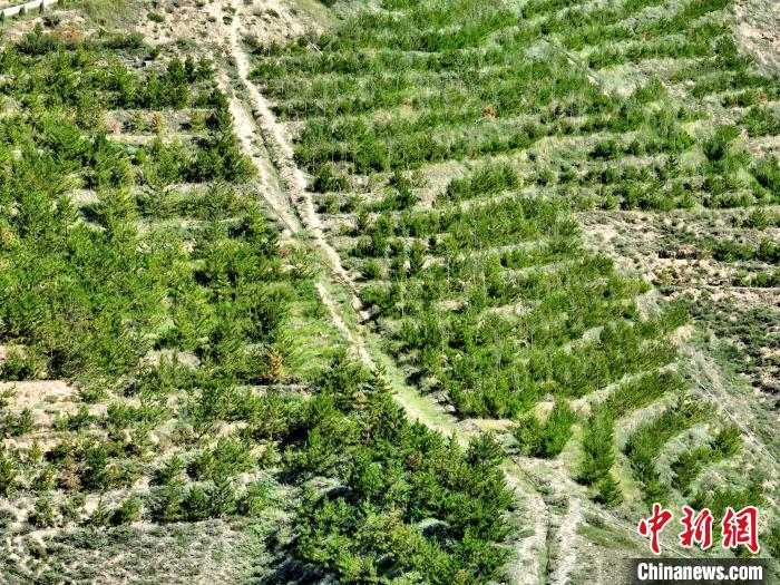 航拍建行青海省分行綠化區(qū)?！∑钤鲚?攝