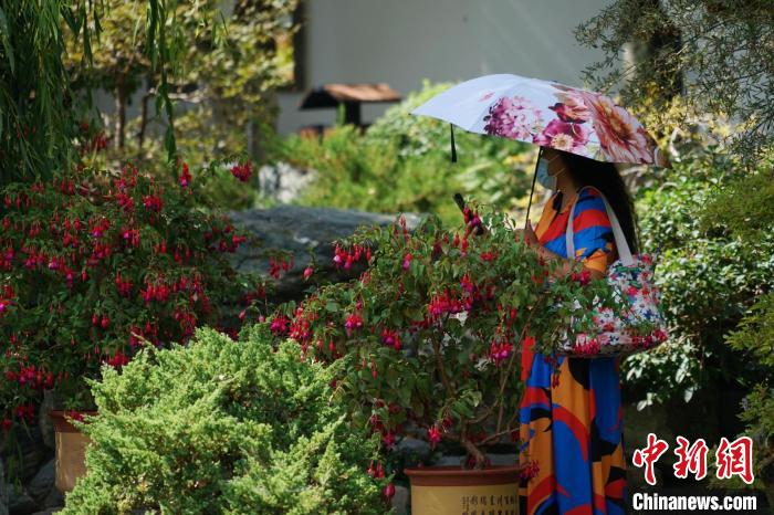 圖為市民在西寧園林植物園內(nèi)賞花拍照?！●R銘言 攝
