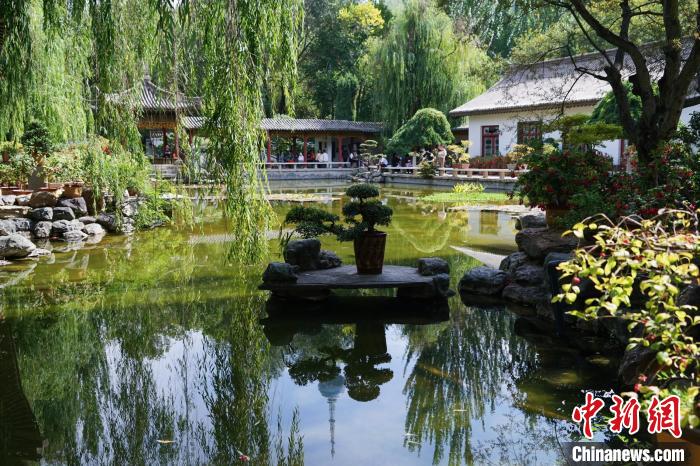 圖為西寧園林植物園秋日風(fēng)景別有韻味?！●R銘言 攝