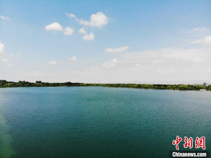 甘肅199個農(nóng)村水利惠民項目開工復工：讓更多人享發(fā)展成果