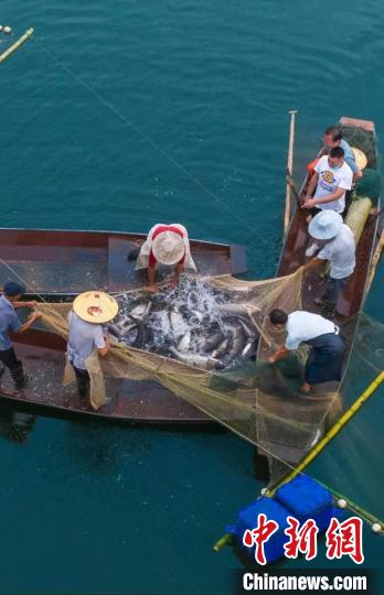 捕魚(yú)現(xiàn)場(chǎng)?！≈鬓k方供圖