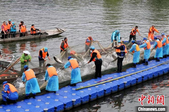 捕撈現(xiàn)場(chǎng)?！≈鬓k方供圖