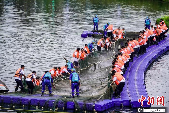 捕撈現(xiàn)場(chǎng)?！≈鬓k方供圖