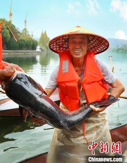 工作人員展示捕撈成果?！≈鬓k方供圖