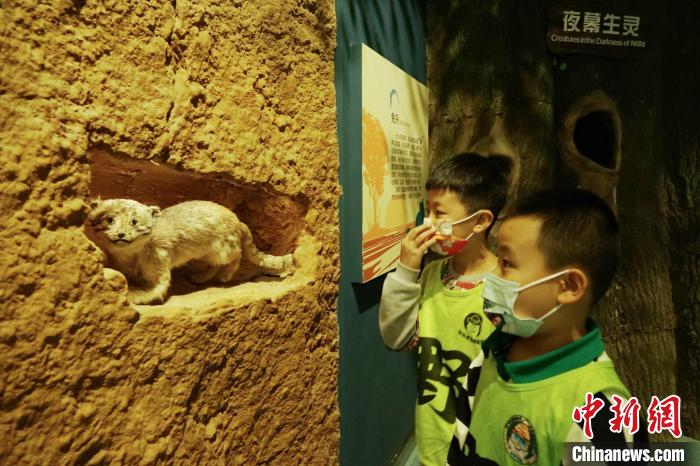 圖為小朋友在青海西寧湟水國家濕地公園科普館內(nèi)參觀學(xué)習(xí)?！●R銘言 攝