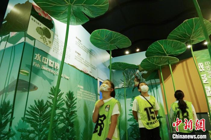 圖為小朋友在青海西寧湟水國家濕地公園科普館內(nèi)參觀學(xué)習(xí)?！●R銘言 攝