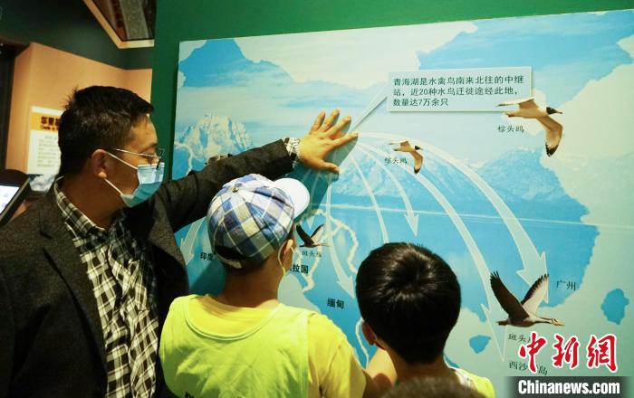 圖為小朋友在青海西寧湟水國家濕地公園科普館內(nèi)參觀學(xué)習(xí)?！●R銘言 攝