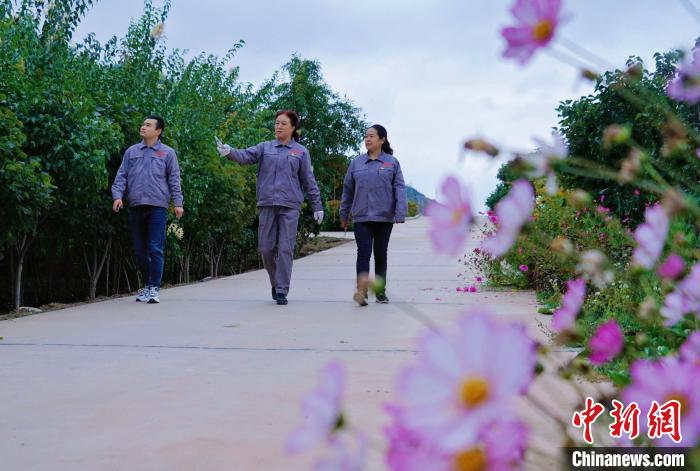 圖為張錦梅(中)與同事在西寧北山查看丁香樹(shù)?！●R銘言 攝