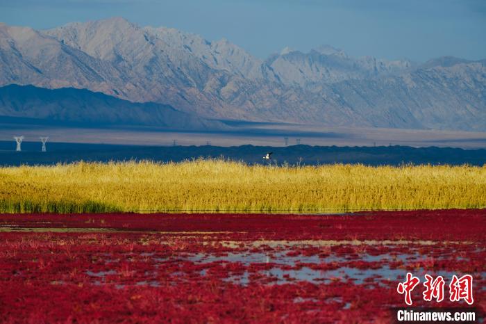圖為柴達(dá)木盆地可魯克湖?！」?攝