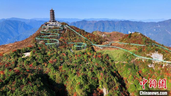 巴山大峽谷彩林迎來最佳觀賞期?！∫κ?攝