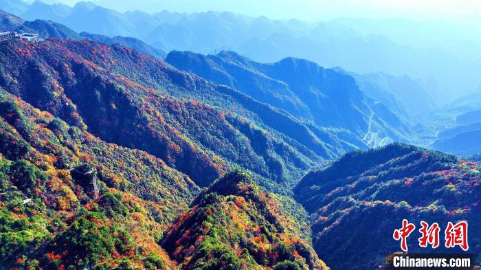 巴山大峽谷彩林迎來最佳觀賞期?！埰?攝