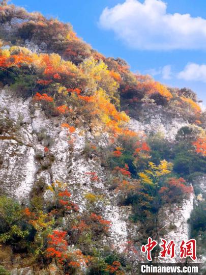 彩林色彩斑斕?！≈炱桨?攝