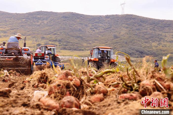 青海東部農(nóng)業(yè)區(qū)：“一分川、一分水、八分山”里“刨金記”