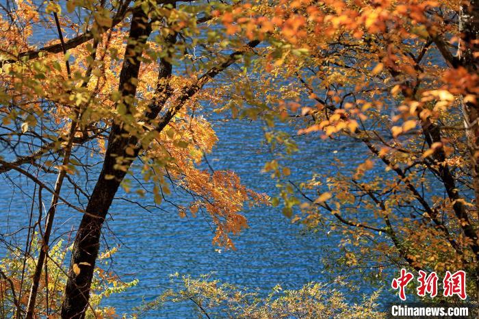 松坪溝風(fēng)光?！⑼?攝