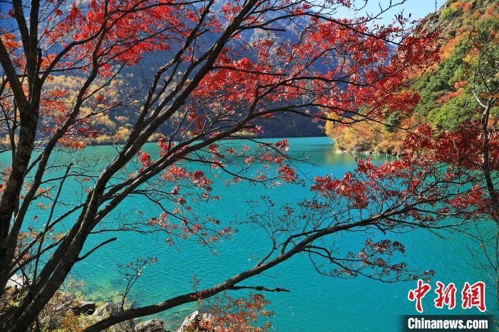 松坪溝風(fēng)光?！『吻搴?攝